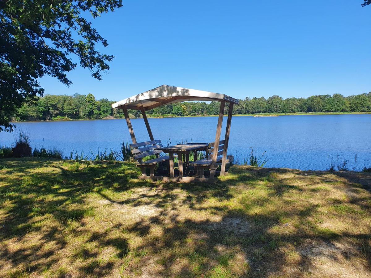 Vila Domaine Du Rothay Lassay-sur-Croisne Exteriér fotografie